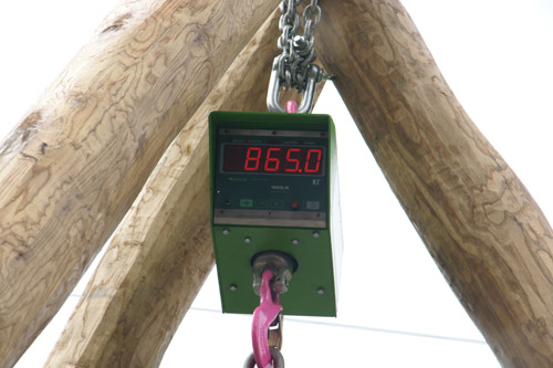На крановых весах «Тензо-М» зафиксирован мировой рекорд!